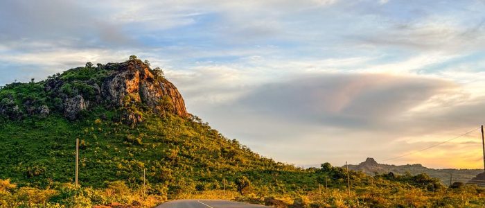 WhatsApp Image 2026-03-26 at 21.17.46